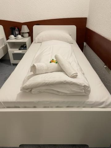 Hotel Starlight Frankfurt am Main ภายนอก รูปภาพ
